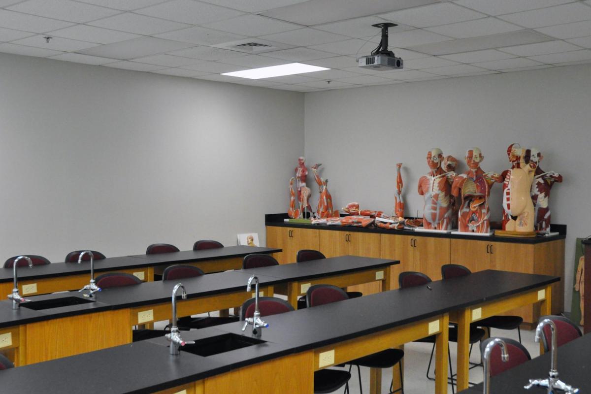 Anatomy and Physiology Lab