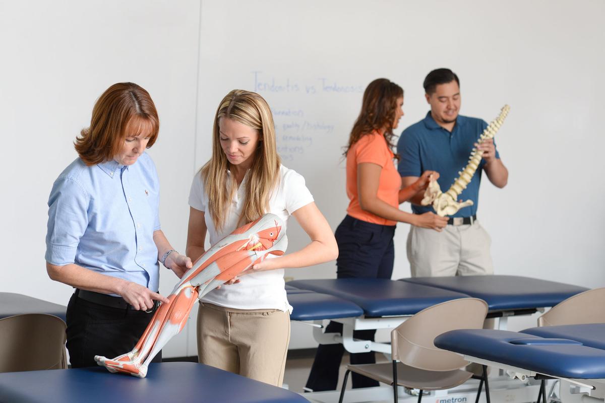 A physical therapy faculty member reviews anatomy with a student using a model in the lab