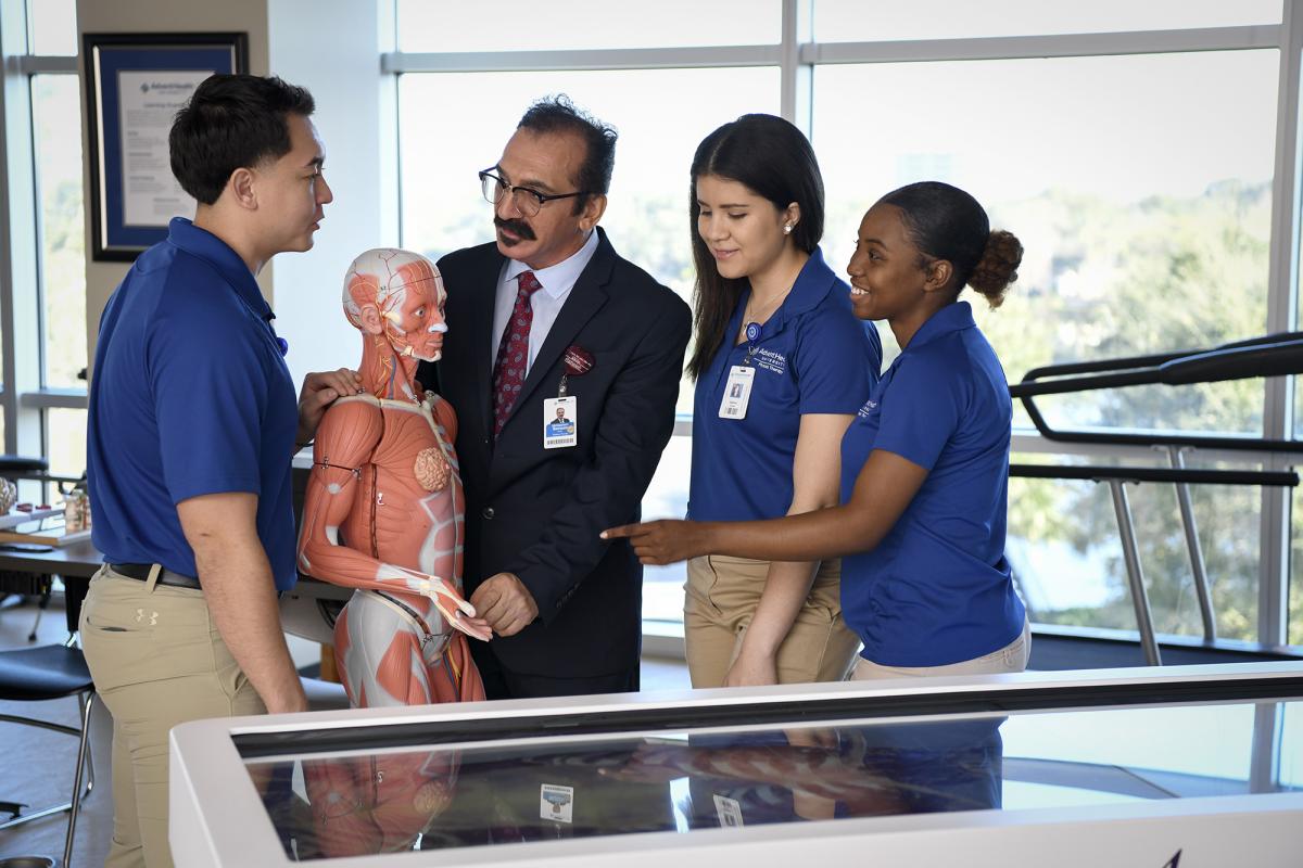 Physical Therapy Students looking at an anatomical model