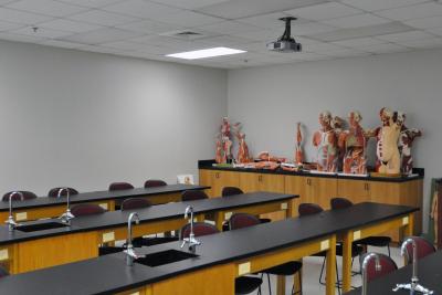 Anatomy and Physiology Lab