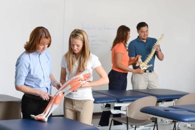 A physical therapy faculty member reviews anatomy with a student using a model in the lab