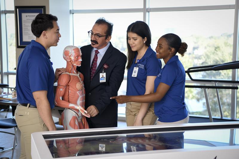 Physical Therapy Students looking at an anatomical model