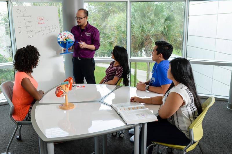 A group of students studies with the help of a tutor
