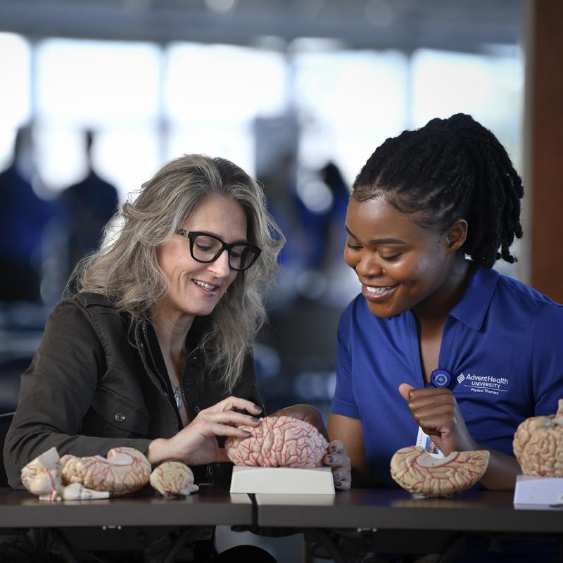 Physical Therapy student and professor looking at brain models