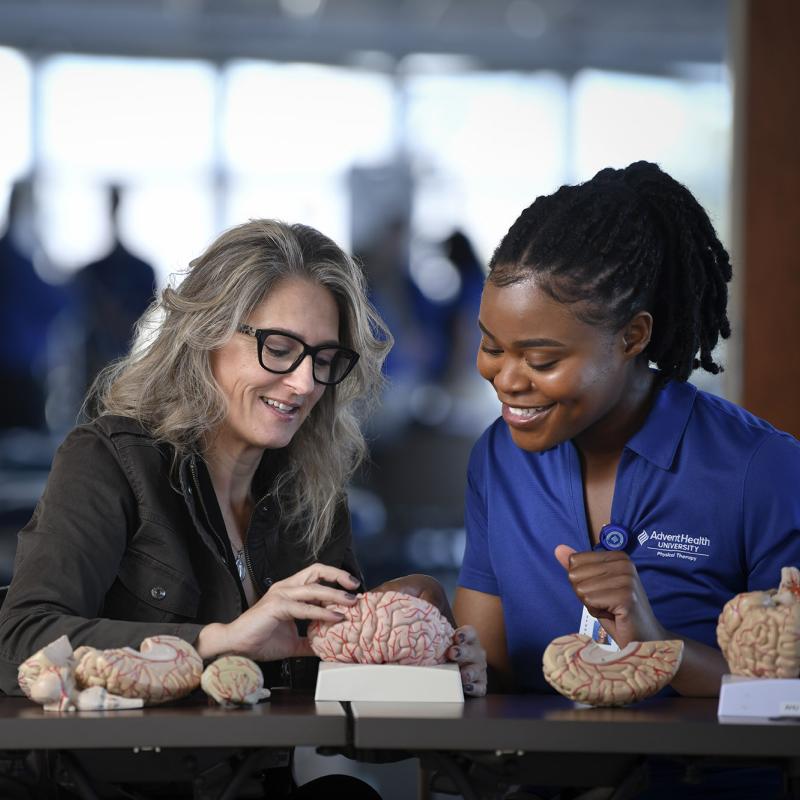 Physical Therapy student and professor looking at brain models