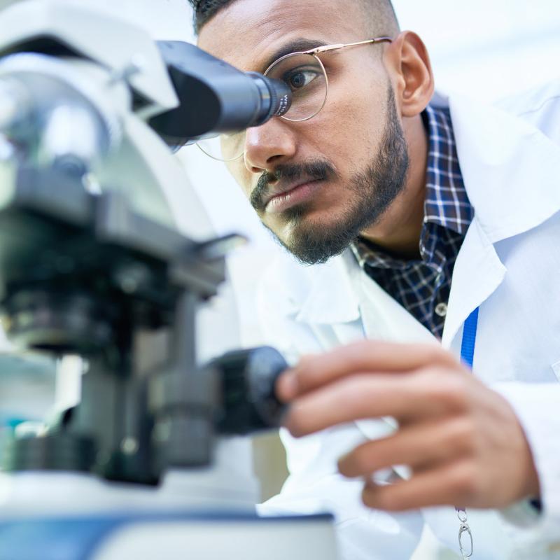 Physician using microscope