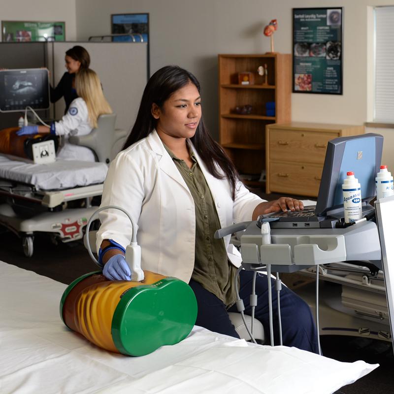 A sonography student practices scanning an abdomen phantom