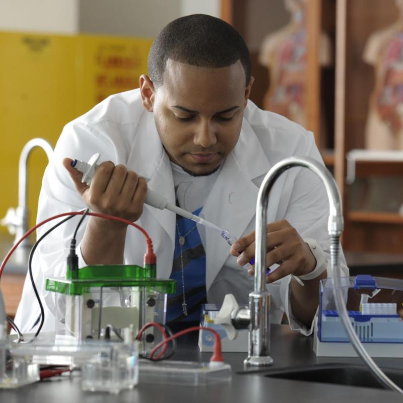 A student conducting a chemistry experiment