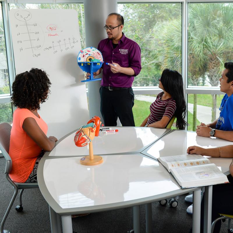 A group of students studies with the help of a tutor