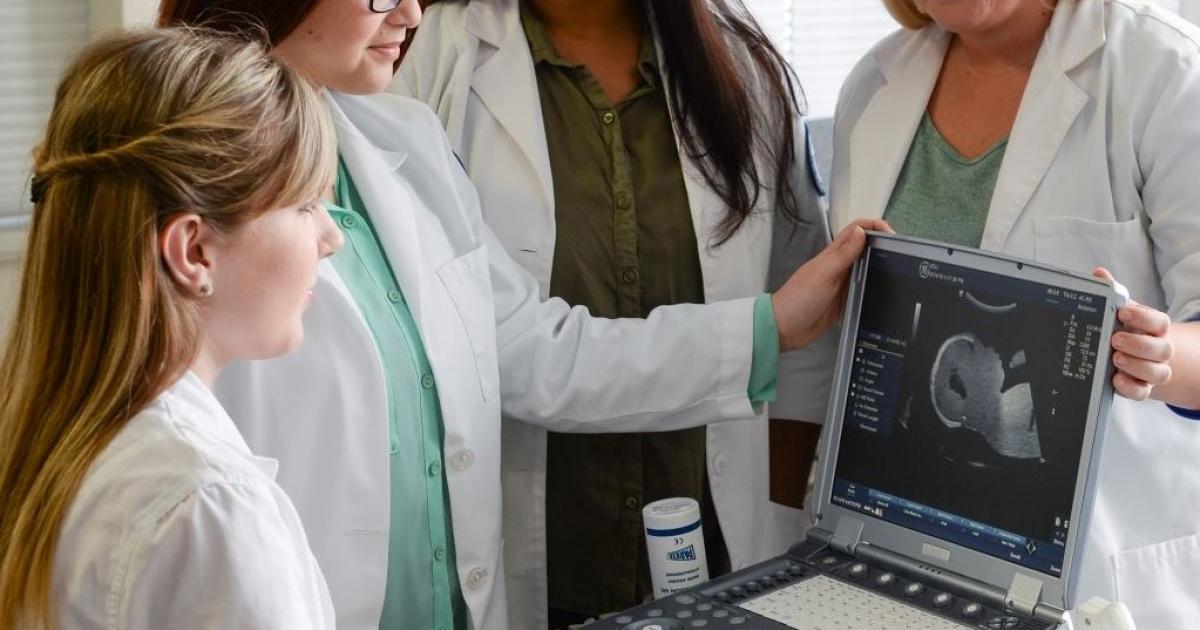 Admission Requirements Diagnostic Medical Sonography AdventHealth