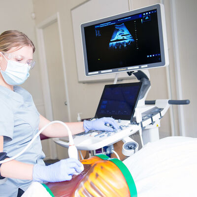 Sonography student practicing scanning skills.