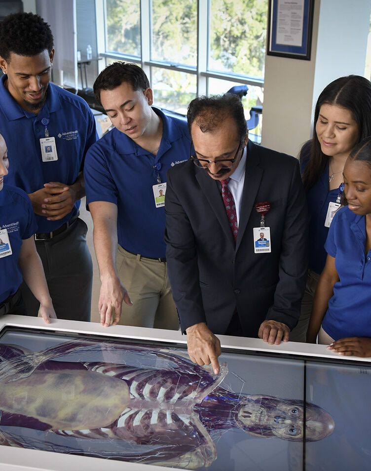 Physical Therapy students looking at an image of a skeleton