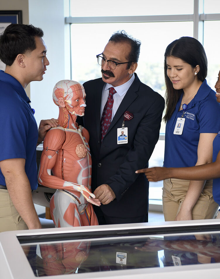 Physical Therapy Students looking at an anatomical model